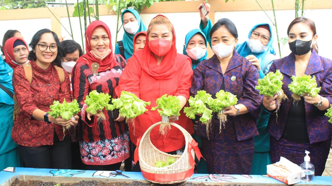 Kebun Gizi di Rumah Pelangi Nusantara